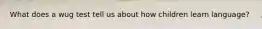 What does a wug test tell us about how children learn language?