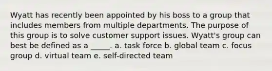 Wyatt has recently been appointed by his boss to a group that includes members from multiple departments. The purpose of this group is to solve customer support issues. Wyatt's group can best be defined as a _____. a. task force b. global team c. focus group d. virtual team e. self-directed team