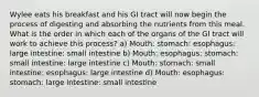 Wylee eats his breakfast and his GI tract will now begin the process of digesting and absorbing the nutrients from this meal. What is the order in which each of the organs of the GI tract will work to achieve this process? a) Mouth: stomach: esophagus: large intestine: small intestine b) Mouth: esophagus: stomach: small intestine: large intestine c) Mouth: stomach: small intestine: esophagus: large intestine d) Mouth: esophagus: stomach: large intestine: small intestine