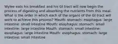 Wylee eats his breakfast and his GI tract will now begin the process of digesting and absorbing the nutrients from this meal. What is the order in which each of the organs of the GI tract will work to achieve this process? Mouth: stomach: esophagus: large intestine: small intestine Mouth: esophagus: stomach: small intestine: large intestine Mouth: stomach: small intestine: esophagus: large intestine Mouth: esophagus: stomach: large intestine: small intestine