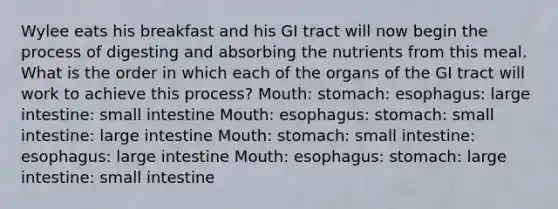 Wylee eats his breakfast and his GI tract will now begin the process of digesting and absorbing the nutrients from this meal. What is the order in which each of the organs of the GI tract will work to achieve this process? Mouth: stomach: esophagus: large intestine: small intestine Mouth: esophagus: stomach: small intestine: large intestine Mouth: stomach: small intestine: esophagus: large intestine Mouth: esophagus: stomach: large intestine: small intestine