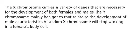 The X chromosome carries a variety of genes that are necessary for the development of both females and males The Y chromosome mainly has genes that relate to the development of male characteristics A random X chromosome will stop working in a female's body cells