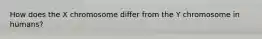 How does the X chromosome differ from the Y chromosome in humans?