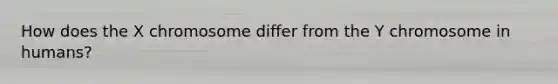 How does the X chromosome differ from the Y chromosome in humans?