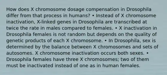 How does X chromosome dosage compensation in Drosophila differ from that process in humans? • Instead of X chromosome inactivation, X-linked genes in Drosophila are transcribed at twice the rate in males compared to females. • X inactivation in Drosophila females is not random but depends on the quality of genetic products of each X chromosome. • In Drosophila, sex is determined by the balance between X chromosomes and sets of autosomes. X chromosome inactivation occurs both sexes. • Drosophila females have three X chromosomes; two of them must be inactivated instead of one as in human females.