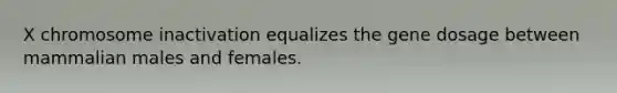 X chromosome inactivation equalizes the gene dosage between mammalian males and females.