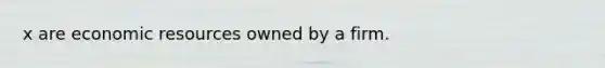 x are economic resources owned by a firm.
