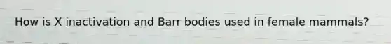 How is X inactivation and Barr bodies used in female mammals?