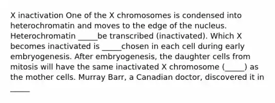 X inactivation One of the X chromosomes is condensed into heterochromatin and moves to the edge of the nucleus. Heterochromatin _____be transcribed (inactivated). Which X becomes inactivated is _____chosen in each cell during early embryogenesis. After embryogenesis, the daughter cells from mitosis will have the same inactivated X chromosome (_____) as the mother cells. Murray Barr, a Canadian doctor, discovered it in _____