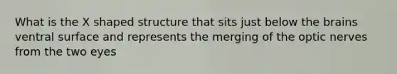 What is the X shaped structure that sits just below the brains ventral surface and represents the merging of the optic nerves from the two eyes