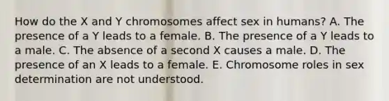 How do the X and Y chromosomes affect sex in humans? A. The presence of a Y leads to a female. B. The presence of a Y leads to a male. C. The absence of a second X causes a male. D. The presence of an X leads to a female. E. Chromosome roles in sex determination are not understood.