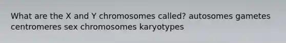 What are the X and Y chromosomes called? autosomes gametes centromeres sex chromosomes karyotypes