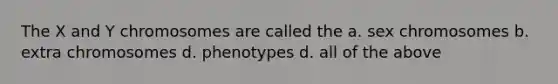 The X and Y chromosomes are called the a. sex chromosomes b. extra chromosomes d. phenotypes d. all of the above