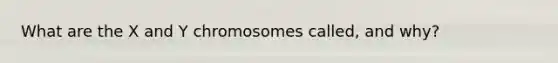 What are the X and Y chromosomes called, and why?