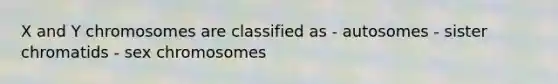 X and Y chromosomes are classified as - autosomes - sister chromatids - sex chromosomes