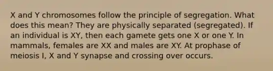 X and Y chromosomes follow the principle of segregation. What does this mean? They are physically separated (segregated). If an individual is XY, then each gamete gets one X or one Y. In mammals, females are XX and males are XY. At prophase of meiosis I, X and Y synapse and crossing over occurs.