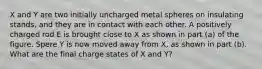 X and Y are two initially uncharged metal spheres on insulating stands, and they are in contact with each other. A positively charged rod E is brought close to X as shown in part (a) of the figure. Spere Y is now moved away from X, as shown in part (b). What are the final charge states of X and Y?