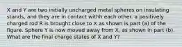 X and Y are two initially uncharged metal spheres on insulating stands, and they are in contact withh each other. a positively charged rod R is brought close to X as shown is part (a) of the figure. Sphere Y is now moved away from X, as shown in part (b). What are the final charge states of X and Y?