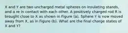 X and Y are two uncharged metal spheres on insulating stands, and a re in contact with each other. A positively charged rod R is brought close to X as shown in Figure (a). Sphere Y is now moved away from X, as in Figure (b). What are the final charge states of X and Y?