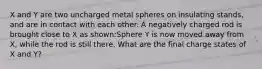 X and Y are two uncharged metal spheres on insulating stands, and are in contact with each other. A negatively charged rod is brought close to X as shown:Sphere Y is now moved away from X, while the rod is still there. What are the final charge states of X and Y?