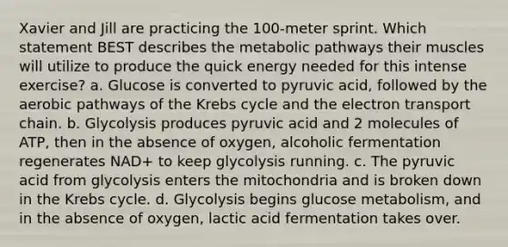 Xavier and Jill are practicing the 100-meter sprint. Which statement BEST describes the metabolic pathways their muscles will utilize to produce the quick energy needed for this intense exercise? a. Glucose is converted to pyruvic acid, followed by the aerobic pathways of the Krebs cycle and the electron transport chain. b. Glycolysis produces pyruvic acid and 2 molecules of ATP, then in the absence of oxygen, alcoholic fermentation regenerates NAD+ to keep glycolysis running. c. The pyruvic acid from glycolysis enters the mitochondria and is broken down in the Krebs cycle. d. Glycolysis begins glucose metabolism, and in the absence of oxygen, lactic acid fermentation takes over.