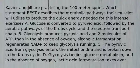 Xavier and Jill are practicing the 100-meter sprint. Which statement BEST describes the metabolic pathways their muscles will utilize to produce the quick energy needed for this intense exercise? A. Glucose is converted to pyruvic acid, followed by the aerobic pathways of the Krebs cycle and the electron transport chain. B. Glycolysis produces pyruvic acid and 2 molecules of ATP, then in the absence of oxygen, alcoholic fermentation regenerates NAD+ to keep glycolysis running. C. The pyruvic acid from glycolysis enters the mitochondria and is broken down in the Krebs cycle. D. Glycolysis begins glucose metabolism, and in the absence of oxygen, lactic acid fermentation takes over.