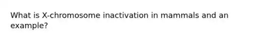 What is X-chromosome inactivation in mammals and an example?