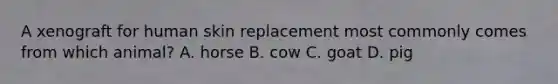 A xenograft for human skin replacement most commonly comes from which animal? A. horse B. cow C. goat D. pig