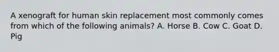 A xenograft for human skin replacement most commonly comes from which of the following animals? A. Horse B. Cow C. Goat D. Pig