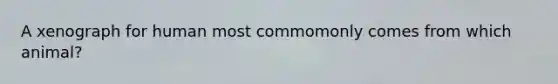 A xenograph for human most commomonly comes from which animal?
