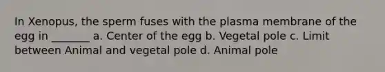 In Xenopus, the sperm fuses with the plasma membrane of the egg in _______ a. Center of the egg b. Vegetal pole c. Limit between Animal and vegetal pole d. Animal pole