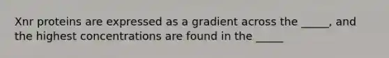 Xnr proteins are expressed as a gradient across the _____, and the highest concentrations are found in the _____