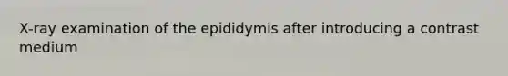 X-ray examination of the epididymis after introducing a contrast medium