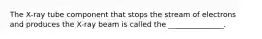 The X-ray tube component that stops the stream of electrons and produces the X-ray beam is called the _______________.