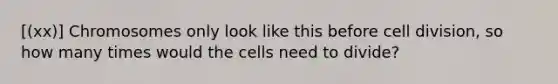 [(xx)] Chromosomes only look like this before cell division, so how many times would the cells need to divide?