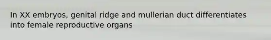 In XX embryos, genital ridge and mullerian duct differentiates into female reproductive organs