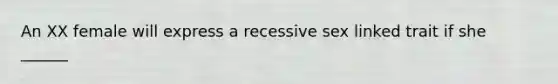 An XX female will express a recessive sex linked trait if she ______