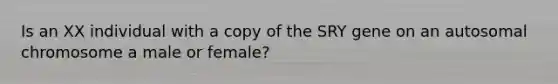 Is an XX individual with a copy of the SRY gene on an autosomal chromosome a male or female?