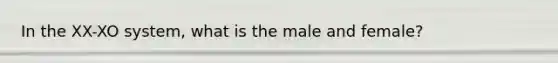 In the XX-XO system, what is the male and female?