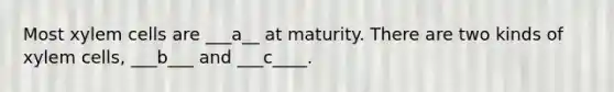 Most xylem cells are ___a__ at maturity. There are two kinds of xylem cells, ___b___ and ___c____.