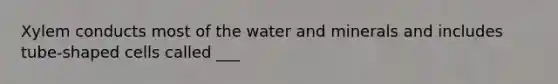 Xylem conducts most of the water and minerals and includes tube-shaped cells called ___