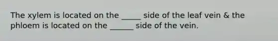 The xylem is located on the _____ side of the leaf vein & the phloem is located on the ______ side of the vein.