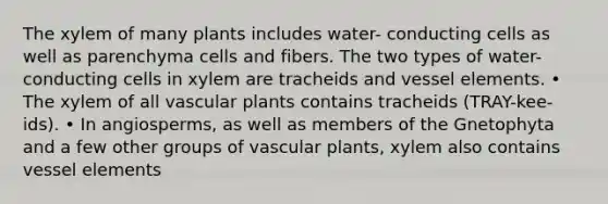 The xylem of many plants includes water- conducting cells as well as parenchyma cells and fibers. The two types of water-conducting cells in xylem are tracheids and vessel elements. • The xylem of all <a href='https://www.questionai.com/knowledge/kbaUXKuBoK-vascular-plants' class='anchor-knowledge'>vascular plants</a> contains tracheids (TRAY-kee-ids). • In angiosperms, as well as members of the Gnetophyta and a few other groups of vascular plants, xylem also contains vessel elements