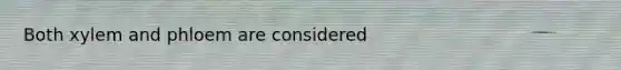 Both xylem and phloem are considered