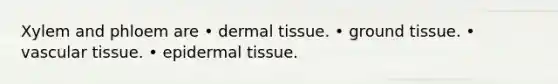 Xylem and phloem are • <a href='https://www.questionai.com/knowledge/kRKdINDJId-dermal-tissue' class='anchor-knowledge'>dermal tissue</a>. • <a href='https://www.questionai.com/knowledge/kb0kKBaH0H-ground-tissue' class='anchor-knowledge'>ground tissue</a>. • <a href='https://www.questionai.com/knowledge/k1HVFq17mo-vascular-tissue' class='anchor-knowledge'>vascular tissue</a>. • epidermal tissue.