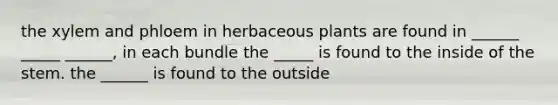 the xylem and phloem in herbaceous plants are found in ______ _____ ______, in each bundle the _____ is found to the inside of the stem. the ______ is found to the outside