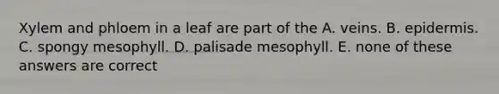 Xylem and phloem in a leaf are part of the A. veins. B. epidermis. C. spongy mesophyll. D. palisade mesophyll. E. none of these answers are correct