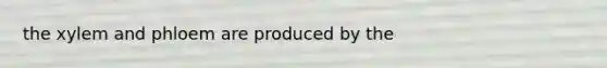 the xylem and phloem are produced by the