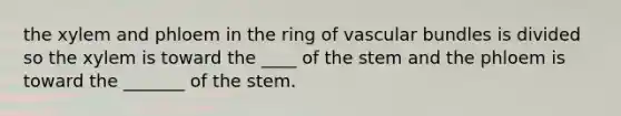 the xylem and phloem in the ring of vascular bundles is divided so the xylem is toward the ____ of the stem and the phloem is toward the _______ of the stem.