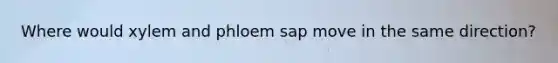 Where would xylem and phloem sap move in the same direction?